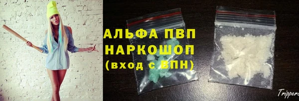 прущие грибы Шарыпово