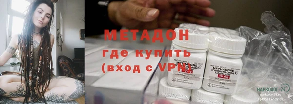 прущие грибы Шарыпово