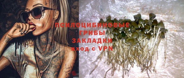 герыч Бронницы