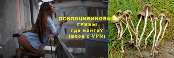 MDMA Premium VHQ Богородск